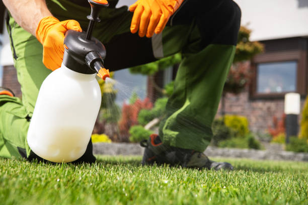 Pest Prevention Services in New Castle, CO